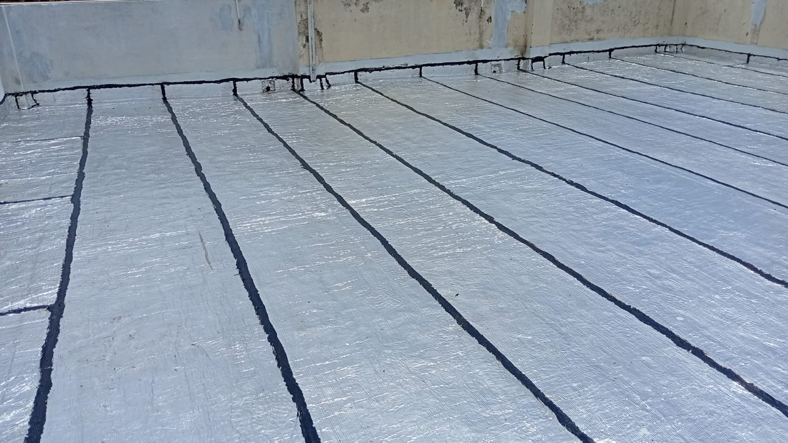 WhatsApp Image 2026-02-17 at 2.35.09 PM