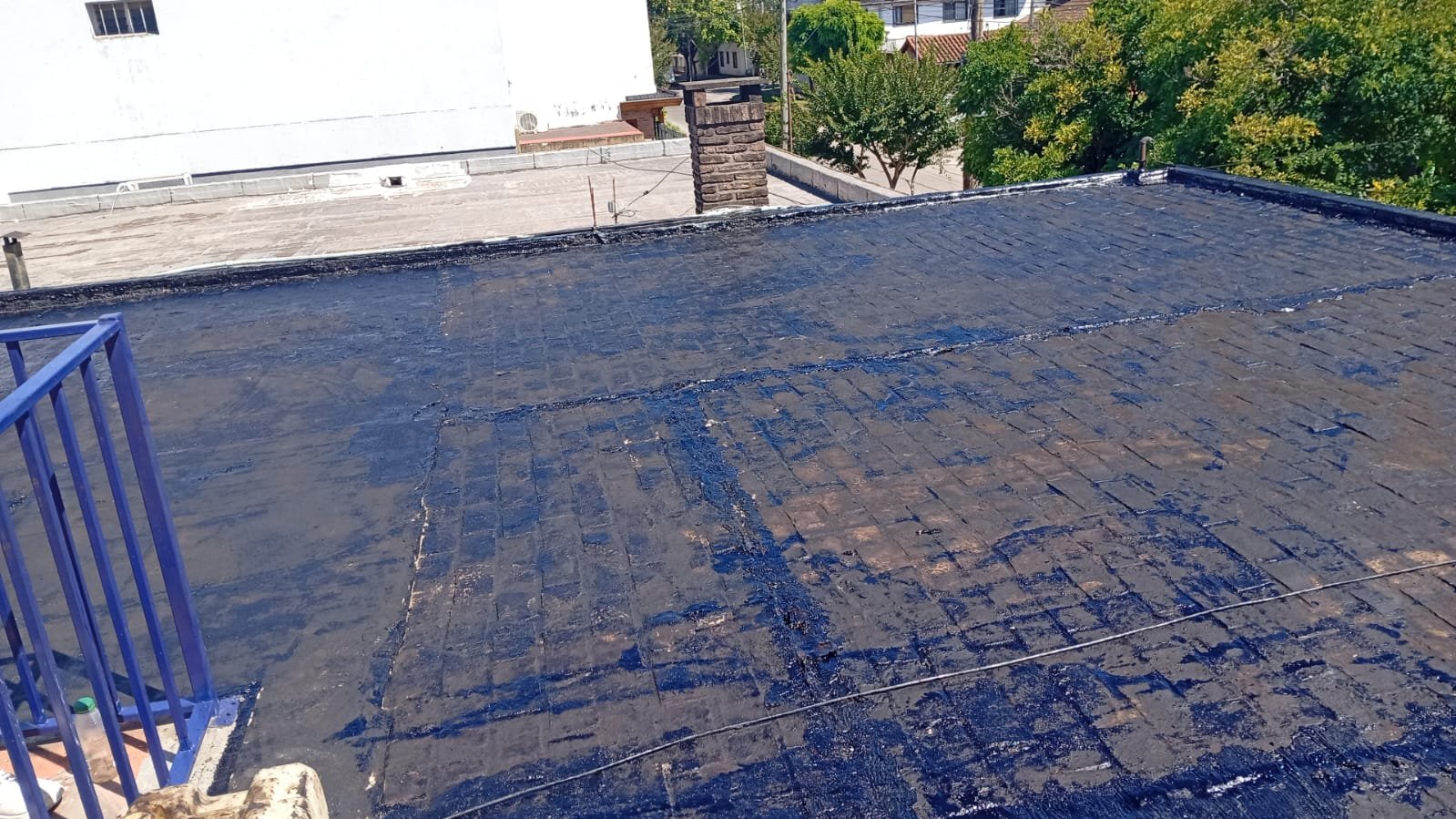 WhatsApp Image 2026-02-17 at 2.35.15 PM (2)