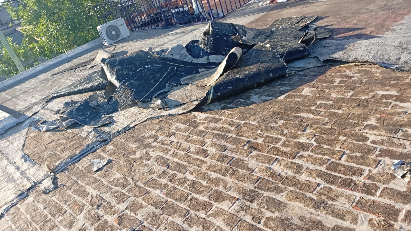 WhatsApp Image 2026-02-17 at 2.35.15 PM (3)