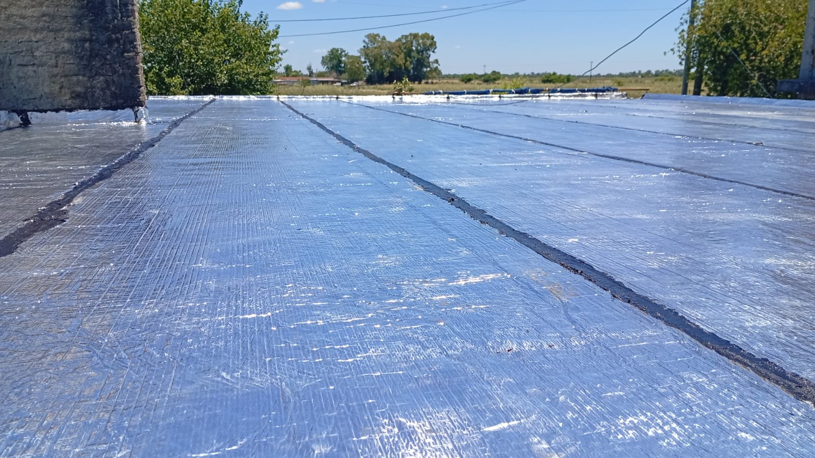 WhatsApp Image 2026-02-17 at 2.35.16 PM (1)