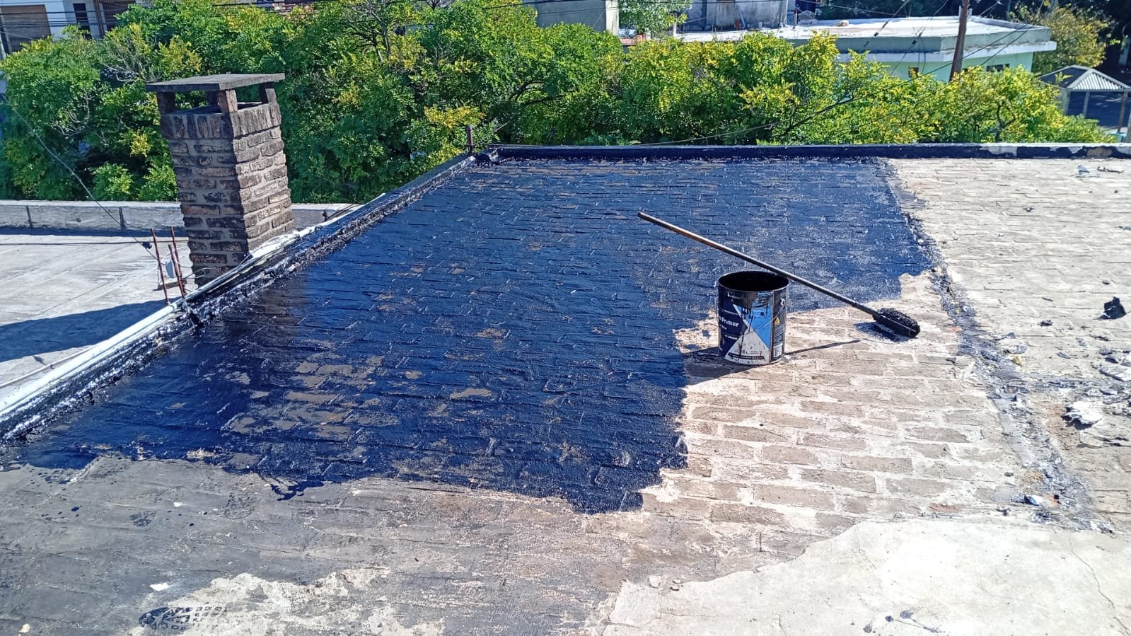 WhatsApp Image 2026-02-17 at 2.35.16 PM