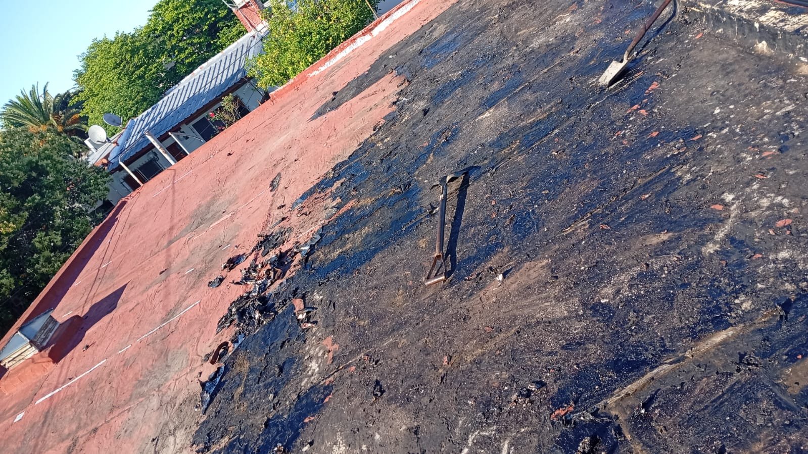 WhatsApp Image 2026-02-17 at 2.35.17 PM